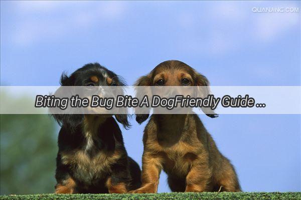 Biting the Bug Bite A DogFriendly Guide to Dealing with Insect Repellent Lamps